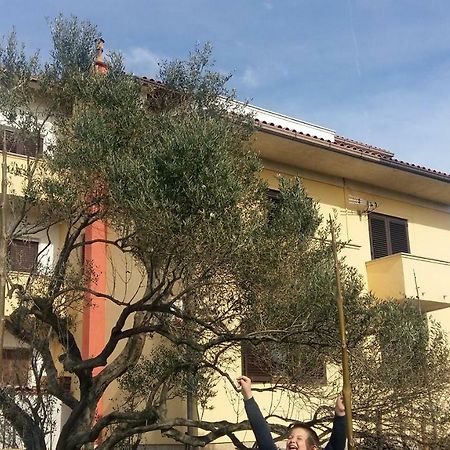 Begovi Dvori Apartment Rab Town Luaran gambar